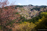 yushino_13-04-10_13-54-34_025.jpg