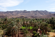 maroc_J_09-10-27_13-28-42_1667.jpg