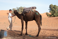 maroc_J_09-10-28_15-58-05_1868.jpg