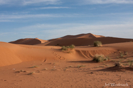 maroc_J_09-10-28_16-24-15_1881.jpg