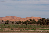 maroc_J_09-10-29_09-56-25_2018.jpg