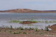 maroc_J_09-10-29_12-24-41_037.jpg