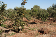 maroc_J_09-10-25_09-55-19_1045.jpg