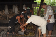 huahine_14-05-04_11-11-05_012.jpg