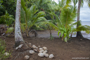 huahine_14-05-05_09-52-31_125.jpg