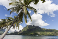 moorea_14-04-22_11-09-00_009.jpg