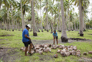 raiatea_14-05-01_14-07-18_155.jpg