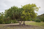 raiatea_14-05-01_17-26-54_174.jpg