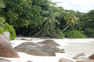 seychelles_J_11-03-01_07-09-51_808.jpg