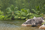 seychelles_J_11-03-01_07-20-39_811.jpg