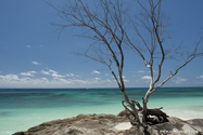 seychelles_J_11-03-03_10-56-07_906.jpg