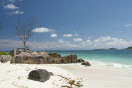 seychelles_J_11-03-03_11-09-56_914.jpg