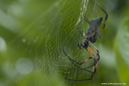 seychelles_J_11-02-21_13-45-26_101.jpg