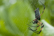 seychelles_J_11-02-21_13-45-49_103.jpg