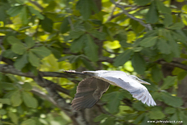 seychelles_J_11-02-23_07-59-18_190.jpg