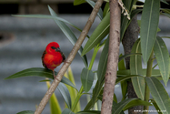 seychelles_J_11-02-24_14-55-20_335.jpg