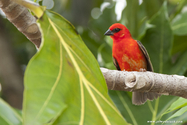 seychelles_J_11-02-24_14-56-50_338.jpg