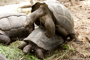 seychelles_J_11-03-01_08-36-27_814.jpg