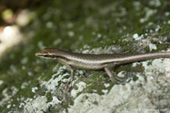 seychelles_J_11-02-27_09-13-01_624.jpg