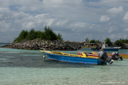 seychelles_J_11-02-24_13-20-46_323.jpg