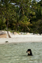 seychelles_J_11-02-24_13-49-39_328.jpg