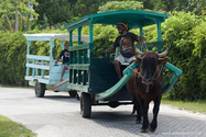 seychelles_J_11-02-25_06-10-13_352.jpg