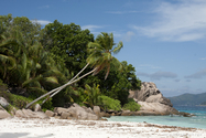 seychelles_J_11-02-25_06-27-01_360.jpg