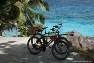 seychelles_J_11-02-25_07-01-18_386.jpg