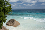 seychelles_J_11-02-25_07-04-03_387.jpg