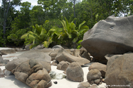 seychelles_J_11-02-23_09-39-07_211.jpg