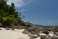 seychelles_J_11-02-23_09-45-04_217.jpg