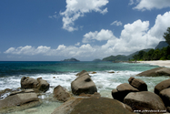 seychelles_J_11-02-23_09-46-02_219.jpg