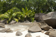 seychelles_J_11-02-23_09-46-14_230.jpg