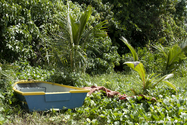 seychelles_J_11-02-20_07-32-19_004.jpg