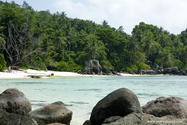 seychelles_J_11-02-20_07-42-39_008.jpg