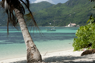 seychelles_J_11-02-20_07-47-34_011.jpg