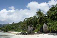 seychelles_J_11-02-20_08-09-20_013.jpg