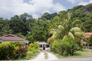 seychelles_J_11-02-20_09-03-17_022.jpg