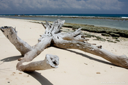 seychelles_J_11-02-20_09-12-26_024.jpg