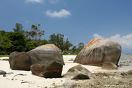 seychelles_J_11-02-20_09-24-19_031.jpg