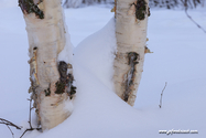 Kiruna_16-02-10_10-42-11_014.jpg