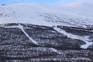 abisko_16-02-11_11-37-24_003.jpg