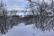 abisko_16-02-11_11-37-58_004.jpg