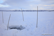 abisko_16-02-11_12-35-24_029.jpg