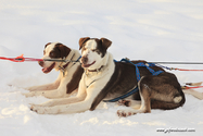 Kiruna_16-02-15_09-45-11_027.jpg