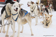 abisko_16-02-12_13-07-51_017.jpg