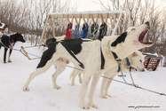 abisko_16-02-12_13-08-13_018.jpg