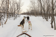 abisko_16-02-12_13-13-43_020.jpg