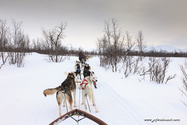 abisko_16-02-12_13-18-59_027.jpg