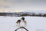 abisko_16-02-12_13-21-06_029.jpg